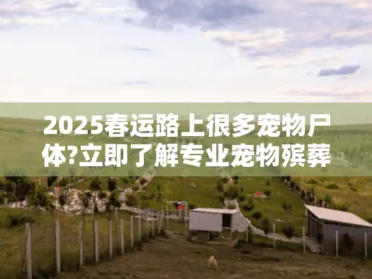 2025春运路上很多宠物尸体?立即了解专业宠物殡葬服务选择
