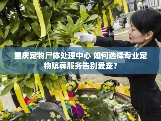 重庆宠物尸体处理中心 如何选择专业宠物殡葬服务告别爱宠？