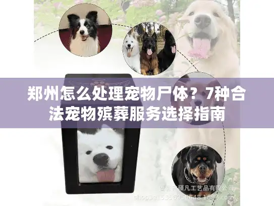 郑州怎么处理宠物尸体？7种合法宠物殡葬服务选择指南