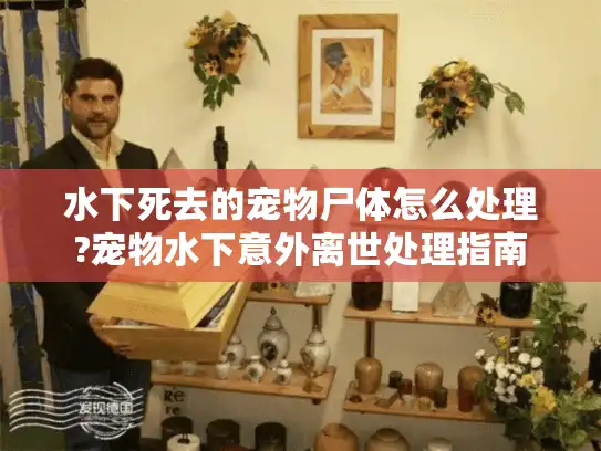 水下死去的宠物尸体怎么处理?宠物水下意外离世处理指南