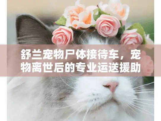 舒兰宠物尸体接待车，宠物离世后的专业运送援助