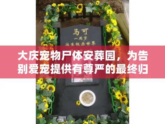 大庆宠物尸体安葬园，为告别爱宠提供有尊严的最终归宿