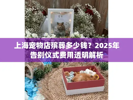 上海宠物店殡葬多少钱？2025年告别仪式费用透明解析