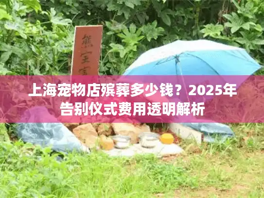 上海宠物店殡葬多少钱？2025年告别仪式费用透明解析