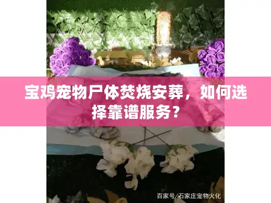 宝鸡宠物尸体焚烧安葬，如何选择靠谱服务？