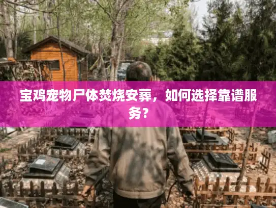 宝鸡宠物尸体焚烧安葬，如何选择靠谱服务？