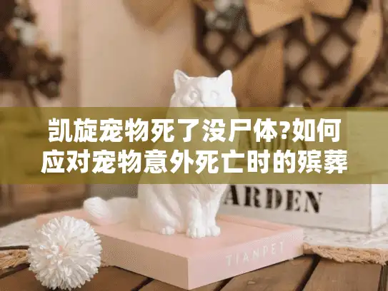 凯旋宠物死了没尸体?如何应对宠物意外死亡时的殡葬难题