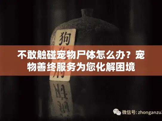 不敢触碰宠物尸体怎么办？宠物善终服务为您化解困境