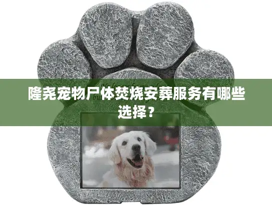 隆尧宠物尸体焚烧安葬服务有哪些选择？