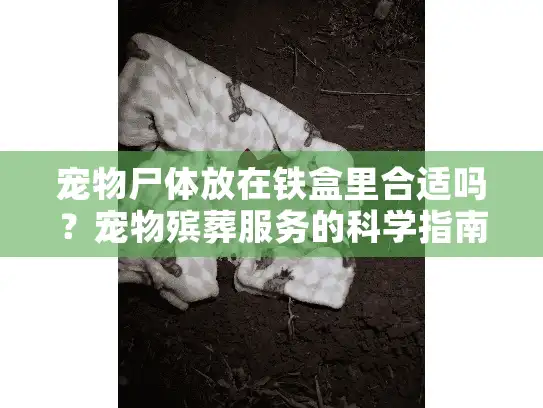 宠物尸体放在铁盒里合适吗？宠物殡葬服务的科学指南