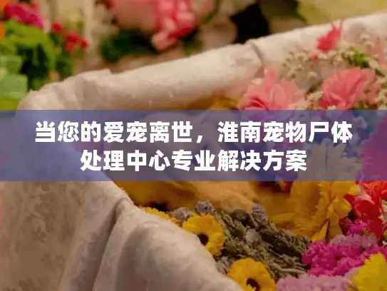当您的爱宠离世，淮南宠物尸体处理中心专业解决方案