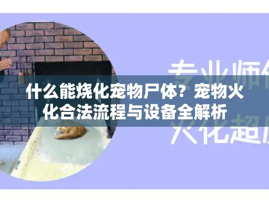 什么能烧化宠物尸体？宠物火化合法流程与设备全解析