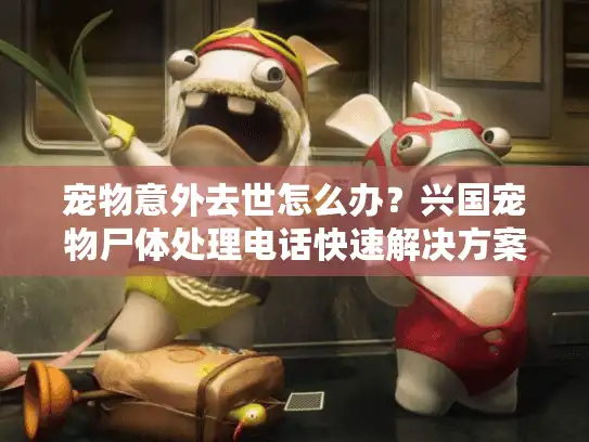 宠物意外去世怎么办？兴国宠物尸体处理电话快速解决方案