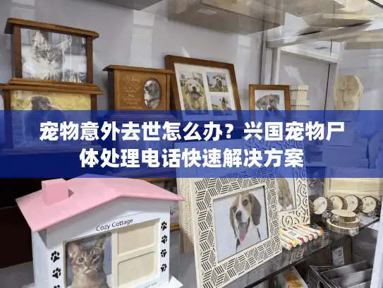 宠物意外去世怎么办？兴国宠物尸体处理电话快速解决方案