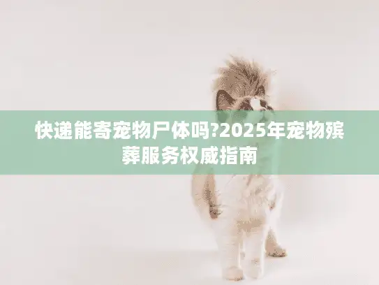 快递能寄宠物尸体吗?2025年宠物殡葬服务权威指南
