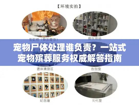 宠物尸体处理谁负责？一站式宠物殡葬服务权威解答指南