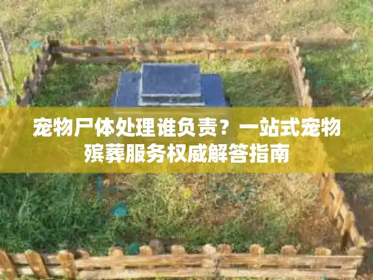 宠物尸体处理谁负责？一站式宠物殡葬服务权威解答指南