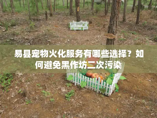 易县宠物火化服务有哪些选择？如何避免黑作坊二次污染