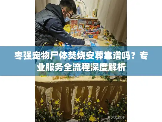 枣强宠物尸体焚烧安葬靠谱吗？专业服务全流程深度解析