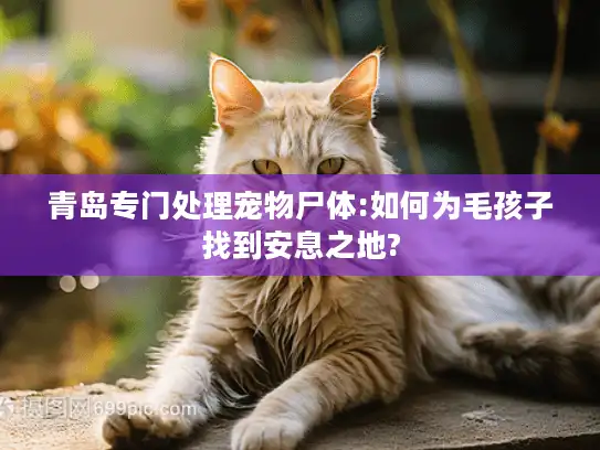 青岛专门处理宠物尸体:如何为毛孩子找到安息之地?
