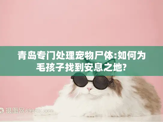 青岛专门处理宠物尸体:如何为毛孩子找到安息之地?