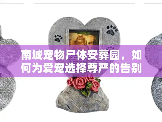 南城宠物尸体安葬园，如何为爱宠选择尊严的告别方式？