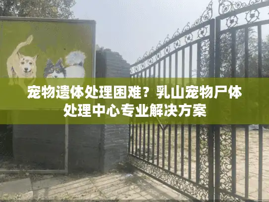 宠物遗体处理困难？乳山宠物尸体处理中心专业解决方案