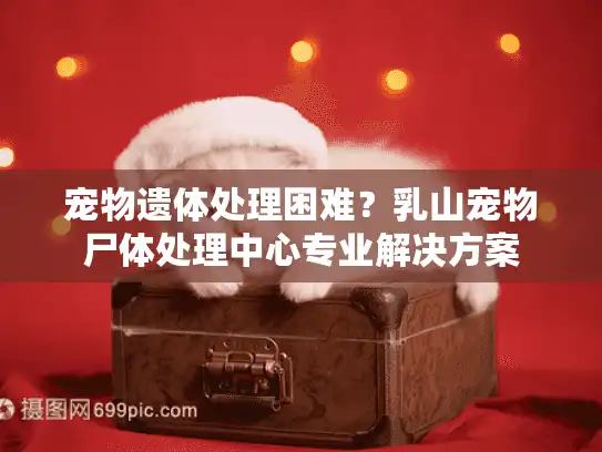 宠物遗体处理困难？乳山宠物尸体处理中心专业解决方案