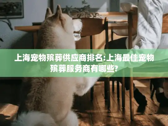 上海宠物殡葬供应商排名:上海最佳宠物殡葬服务商有哪些?