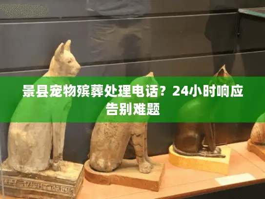 景县宠物殡葬处理电话？24小时响应告别难题