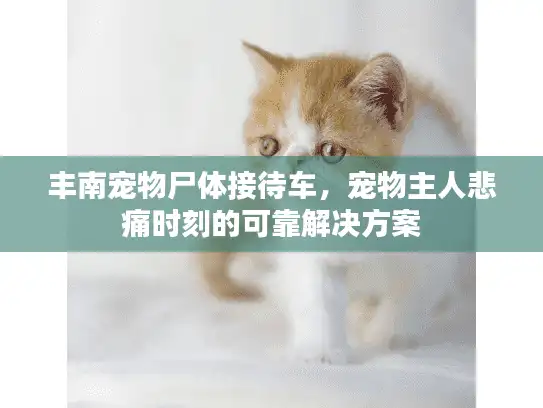 丰南宠物尸体接待车，宠物主人悲痛时刻的可靠解决方案