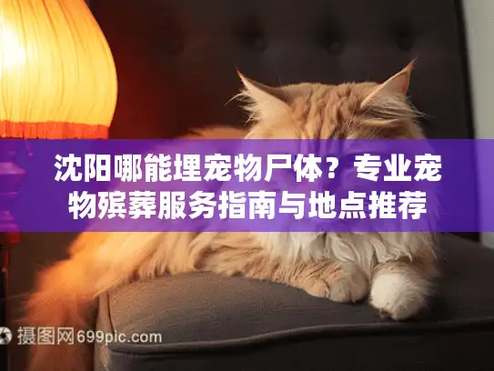 沈阳哪能埋宠物尸体？专业宠物殡葬服务指南与地点推荐