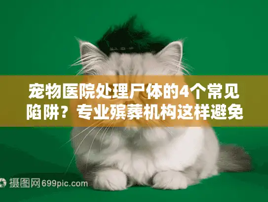 宠物医院处理尸体的4个常见陷阱？专业殡葬机构这样避免
