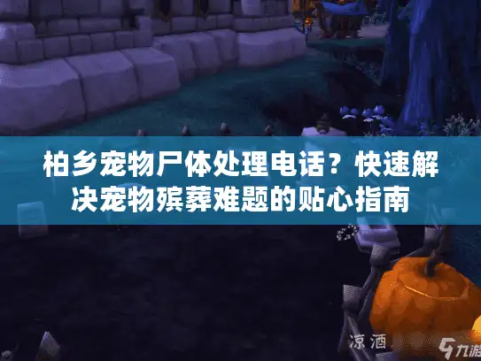 柏乡宠物尸体处理电话？快速解决宠物殡葬难题的贴心指南