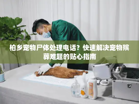 柏乡宠物尸体处理电话？快速解决宠物殡葬难题的贴心指南