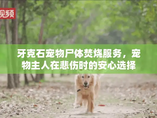 牙克石宠物尸体焚烧服务，宠物主人在悲伤时的安心选择