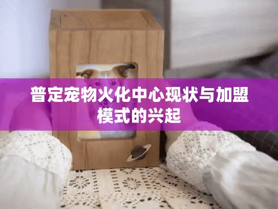 普定宠物火化中心现状与加盟模式的兴起