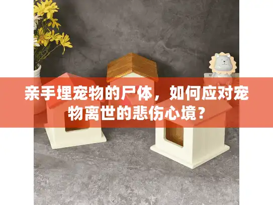 亲手埋宠物的尸体，如何应对宠物离世的悲伤心境？