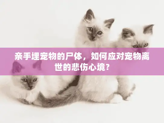 亲手埋宠物的尸体，如何应对宠物离世的悲伤心境？