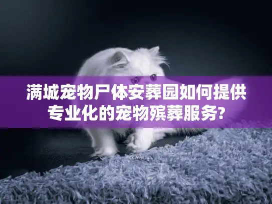 满城宠物尸体安葬园如何提供专业化的宠物殡葬服务?