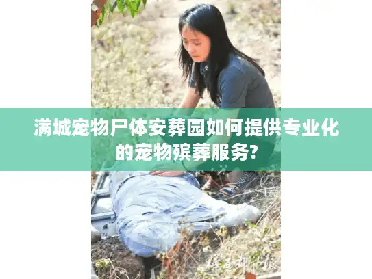满城宠物尸体安葬园如何提供专业化的宠物殡葬服务?