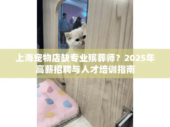 上海宠物店缺专业殡葬师？2025年高薪招聘与人才培训指南