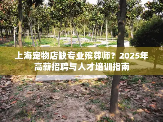 上海宠物店缺专业殡葬师？2025年高薪招聘与人才培训指南