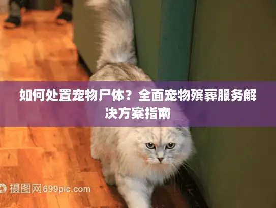 如何处置宠物尸体？全面宠物殡葬服务解决方案指南