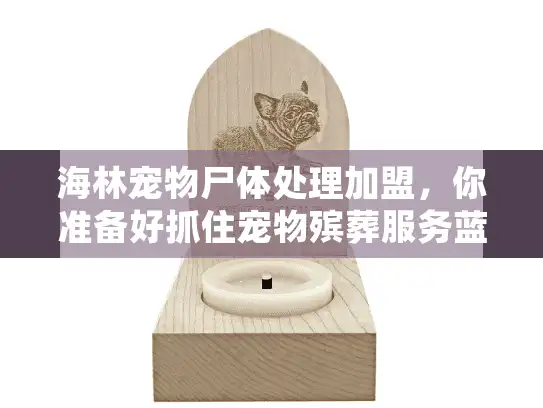 海林宠物尸体处理加盟，你准备好抓住宠物殡葬服务蓝海了吗？