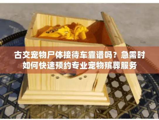 古交宠物尸体接待车靠谱吗？急需时如何快速预约专业宠物殡葬服务