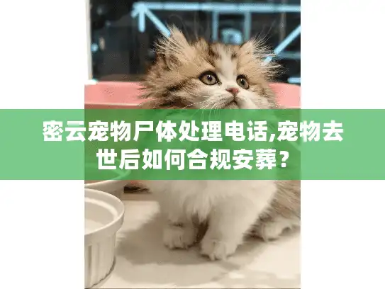 密云宠物尸体处理电话,宠物去世后如何合规安葬？