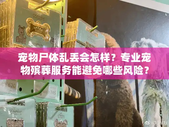 宠物尸体乱丢会怎样？专业宠物殡葬服务能避免哪些风险？
