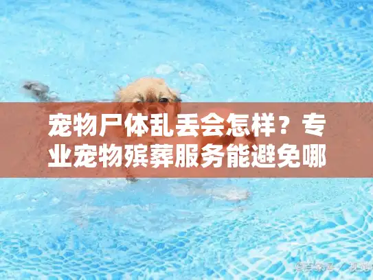 宠物尸体乱丢会怎样？专业宠物殡葬服务能避免哪些风险？