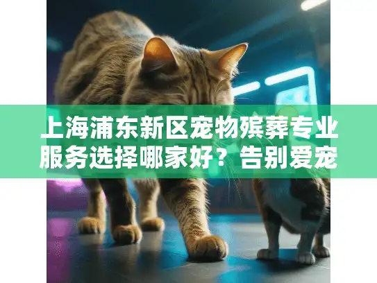 上海浦东新区宠物殡葬专业服务选择哪家好？告别爱宠不再迷茫